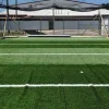 Artificial Turf with Lines