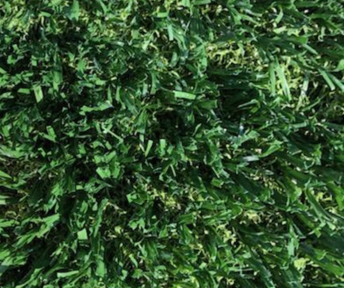 ATX Pro Sport Thatch Top View