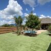 ATX Backyard Lawn Turf and Installation