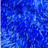 blue baseball turf