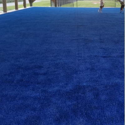 blue baseball turf