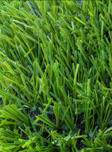 Monofilament Synthetic Turf
