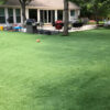 Residential Lawn Turf