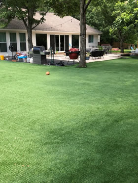 Residential Lawn Turf