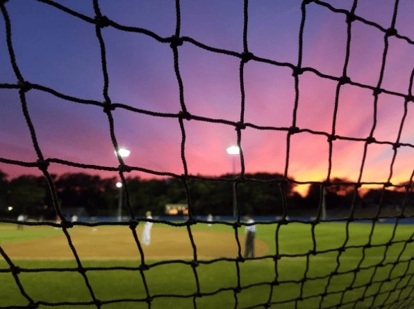 Baseball Safety Netting