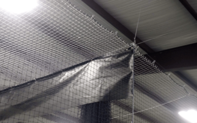What Height Batting Cage Nets Should You Order?