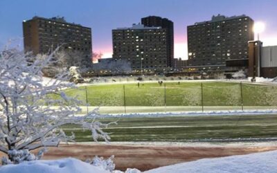 Artificial Turf in the Winter: 6 Things To Consider When Ordering Turf this Winter