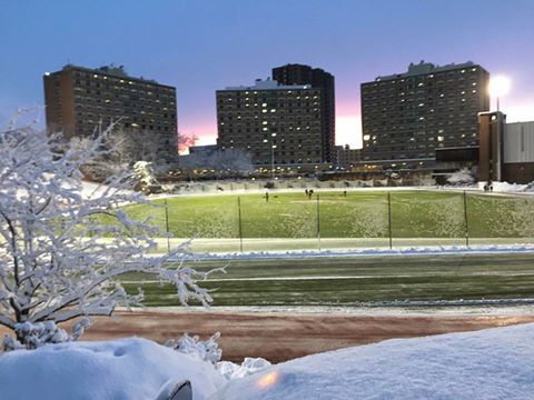 Artificial Turf in the Winter: 6 Things To Consider When Ordering Turf this Winter