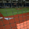 clay batting cage turf
