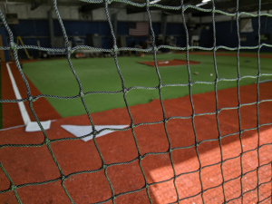 clay batting cage turf